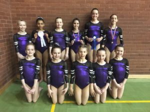 Park Wrekin Gymnasts compete at regional championships