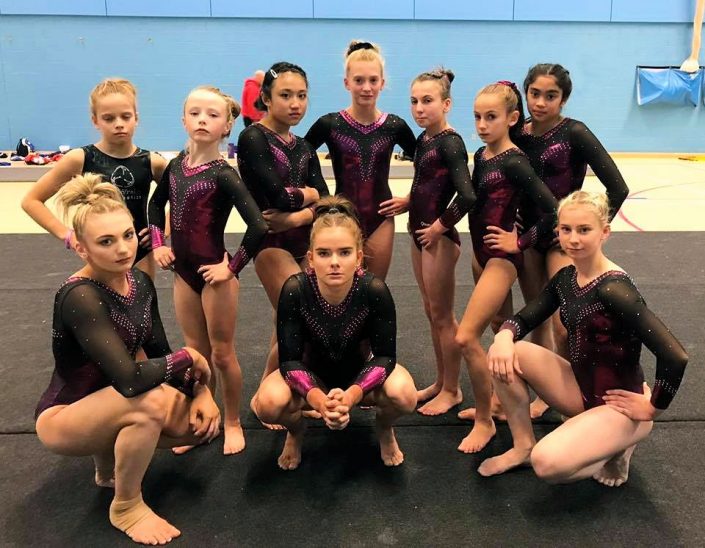 Fierce Gymnasts