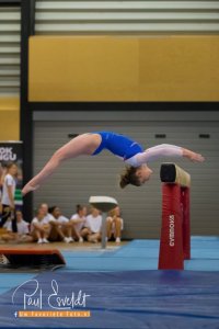 Alice Kinsella Beam Mount